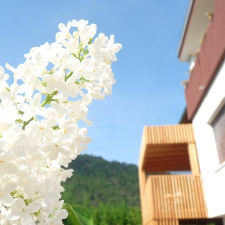 B&B Casa Sul Lago - Appartamenti กาลเชรานิกา อัล ลาโก ห้อง รูปภาพ