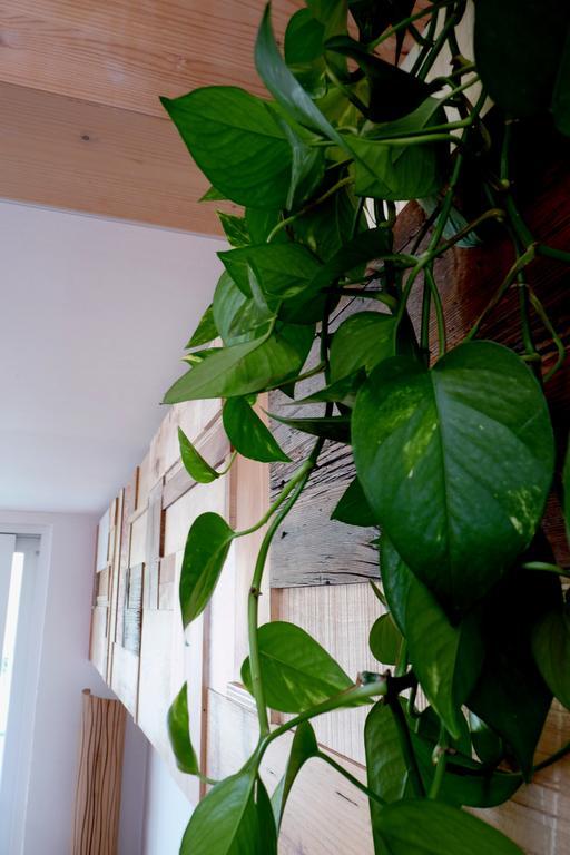 B&B Casa Sul Lago - Appartamenti กาลเชรานิกา อัล ลาโก ห้อง รูปภาพ