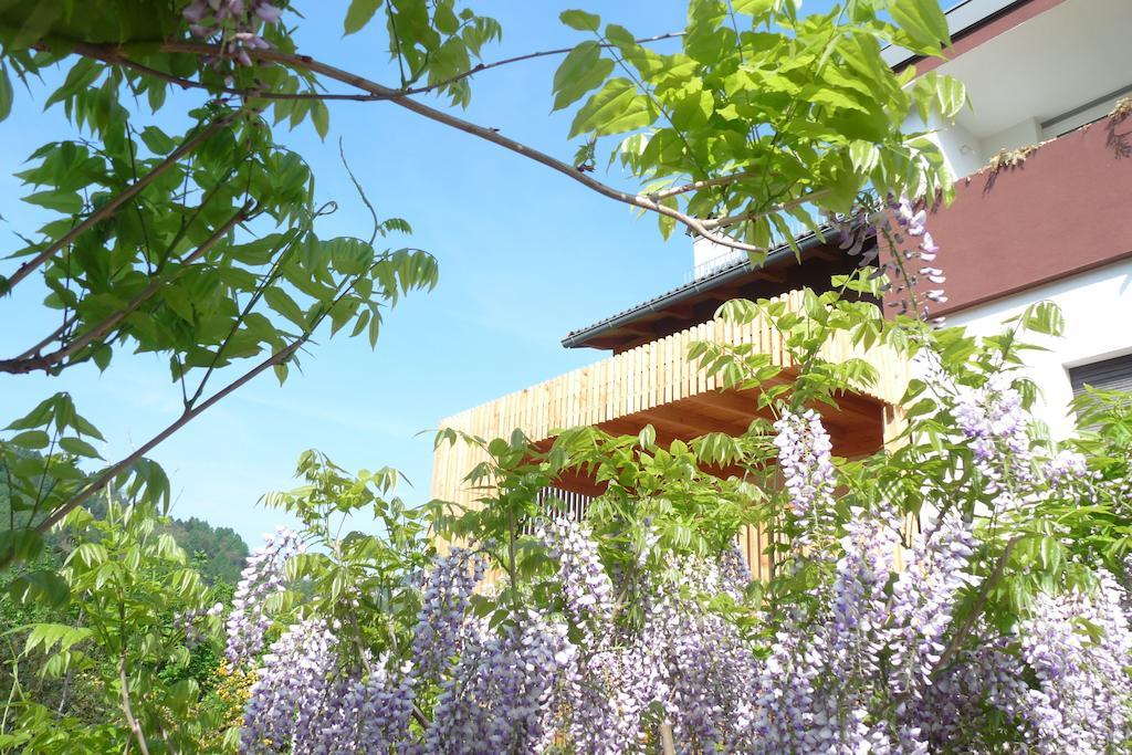 B&B Casa Sul Lago - Appartamenti กาลเชรานิกา อัล ลาโก ภายนอก รูปภาพ