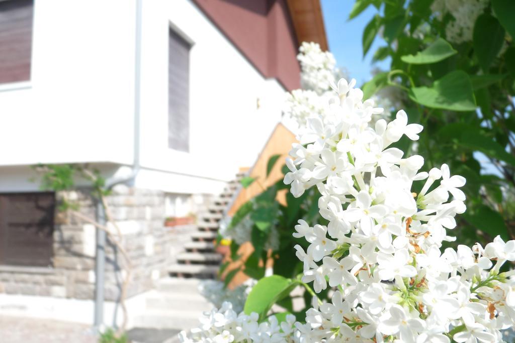 B&B Casa Sul Lago - Appartamenti กาลเชรานิกา อัล ลาโก ภายนอก รูปภาพ