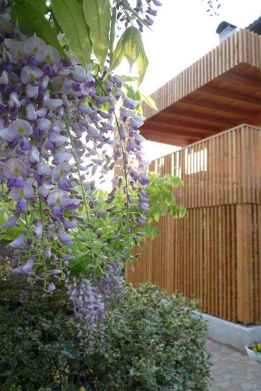 B&B Casa Sul Lago - Appartamenti กาลเชรานิกา อัล ลาโก ภายนอก รูปภาพ